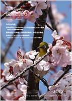 国際だより2025年春号